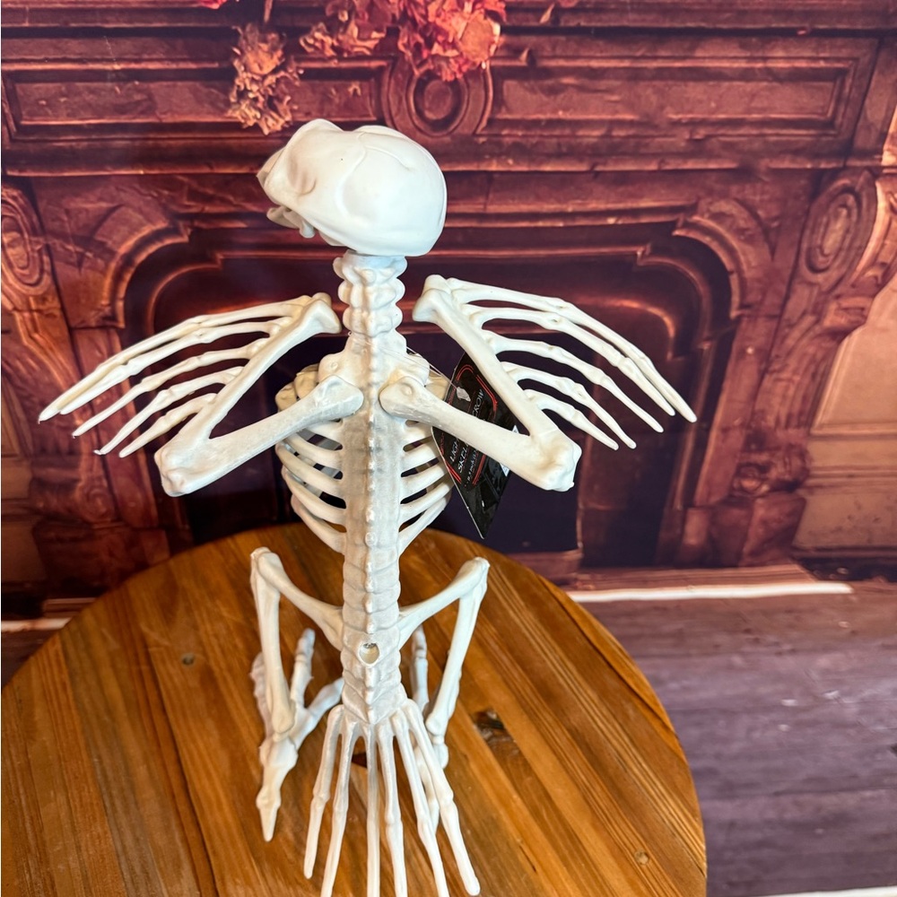 Skeleton Vulture Crow Halloween Bird Decor with Red Eyes Decor Party Craft NWT - Picture 11 of 17